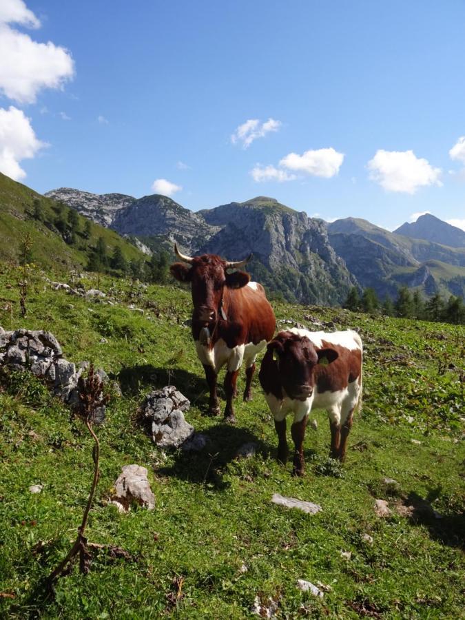 Malterlehen-Berchtesgaden 아파트 외부 사진