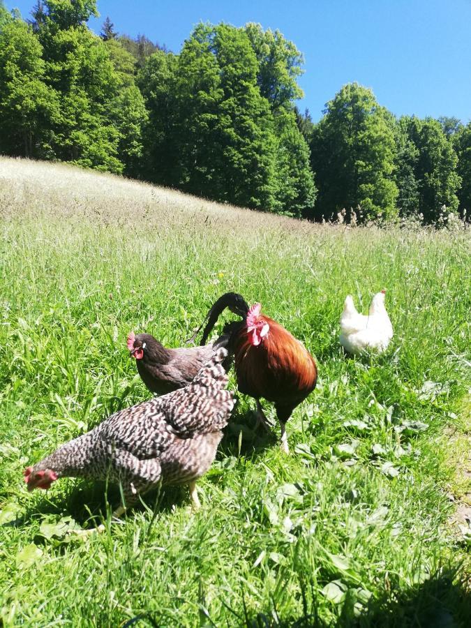 Malterlehen-Berchtesgaden 아파트 외부 사진